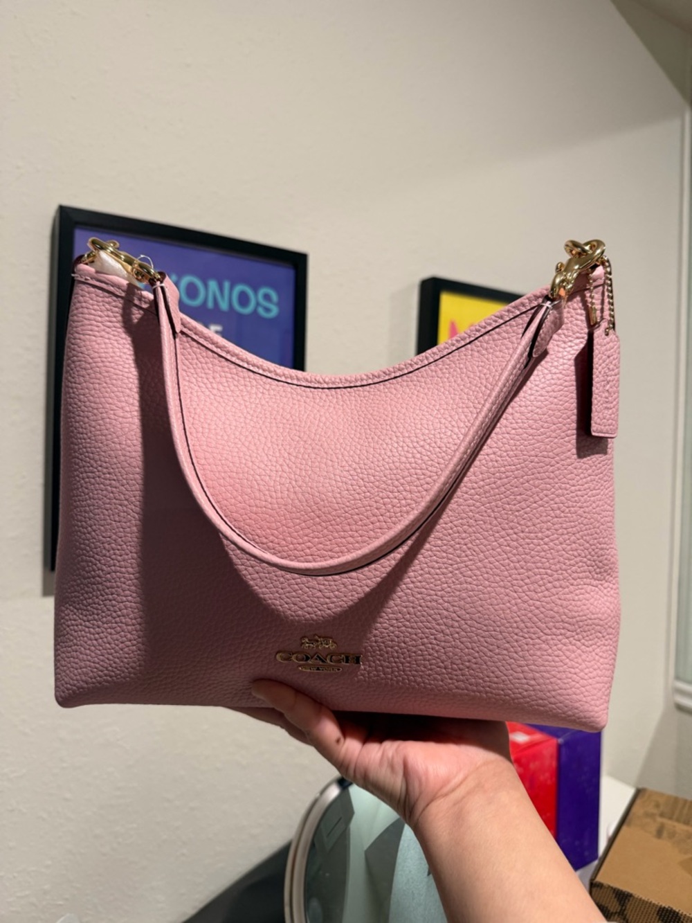 🌸 Carnation Laurel 2026 by Coach